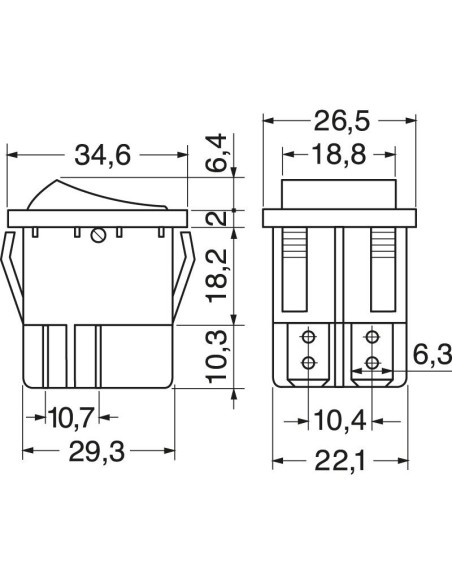 Interruptor bipolar DPST (ON)-OFF con botón blanco y terminales faston de 6,35mm, agujero de montaje 31x22,3mm, 250V 15A