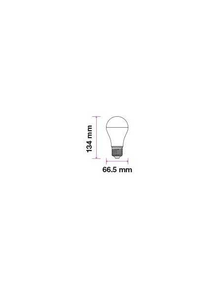 V-TAC VT-2017 Ampoule LED Blister E27 17W A65
