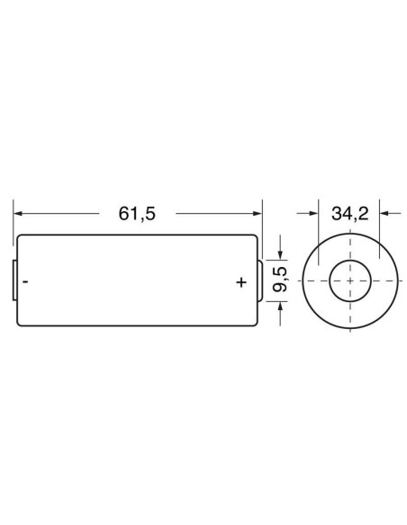 Alkalibatterie 1,5V Procell - D, LR20, MN1300