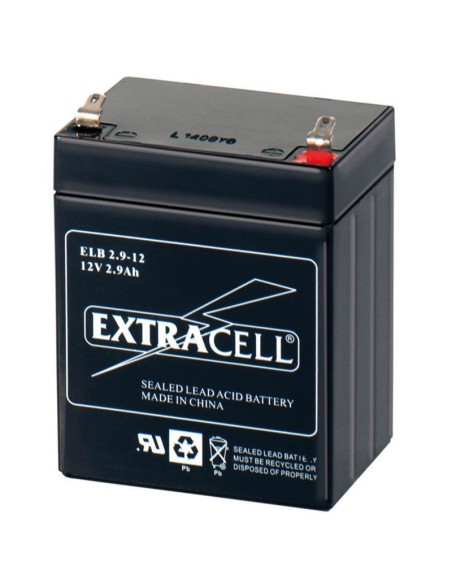 12V 2.9Ah verschlossene Bleibatterie