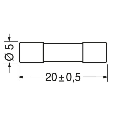 Schnelle Sicherung 5x20mm 250V 12A