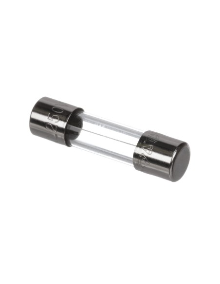 Delayed fuse 5x20mm 250V 0.25A