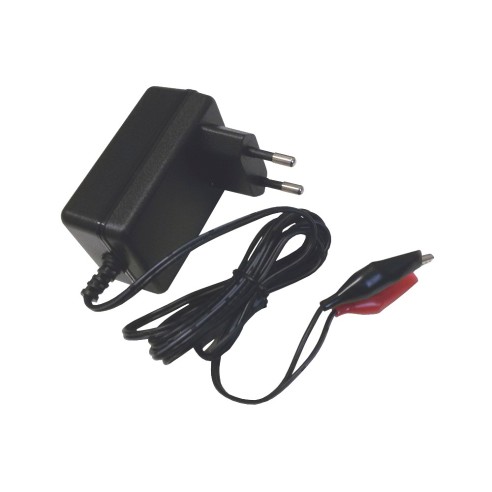 Caricabatterie per batterie al piombo...