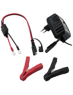 Chargeur de batterie au...