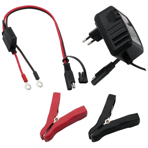 Chargeur de batterie au plomb pour...