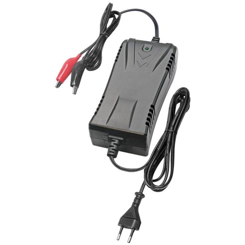 Caricabatterie per batterie al piombo...