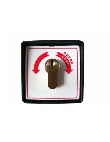 Kit motor GPS420, centralita T016P, radiomandos, fotocélulas, luz intermitente, interruptor de llave Tecno Automazione KITP42TN