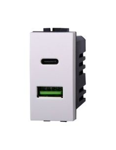 Dual socket module USB 2.0...