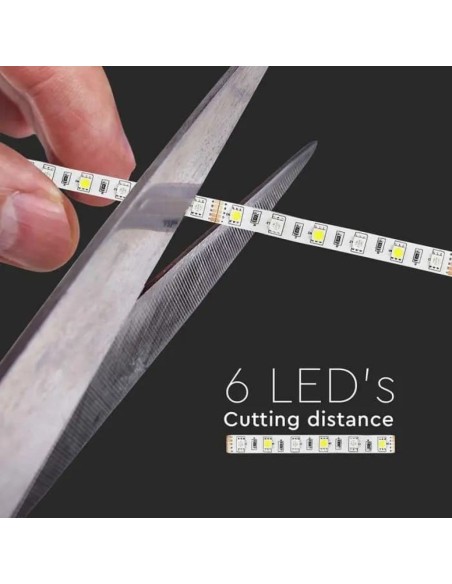 Led strip 12V, RGB and white SMD5050, 8W/m, 60 leds/m, IP20, width 10mm - V-TAC VT-5050