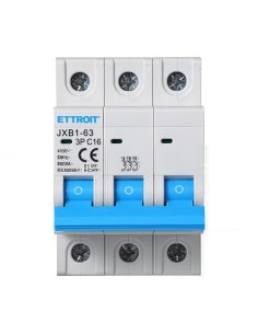 Thermisch-magnetischer... 2