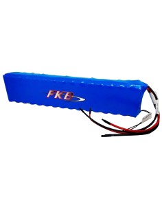 Li-Ionen-Akkupack, 24V...