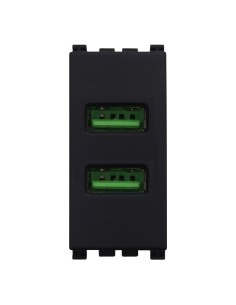 Dual socket module USB 2.0...