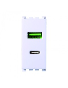 Dual socket module USB 2.0...