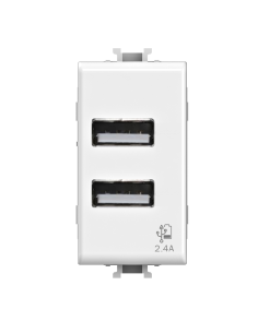 Módulo de doble toma USB...