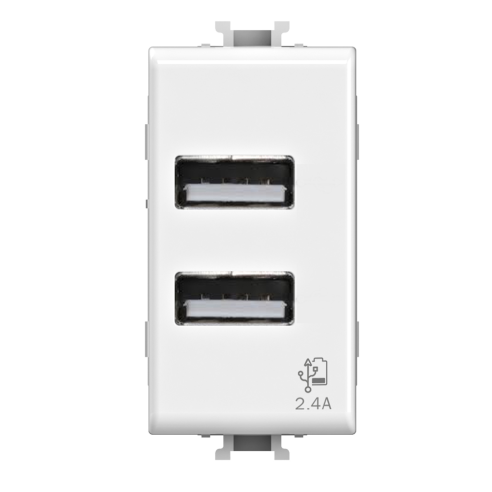 Módulo de doble toma USB 2.0 tipo A,...