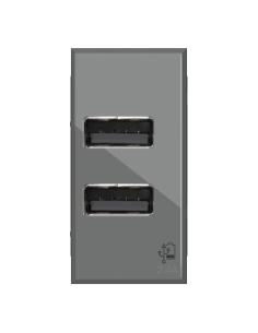Modulo doppia presa USB 2.0...