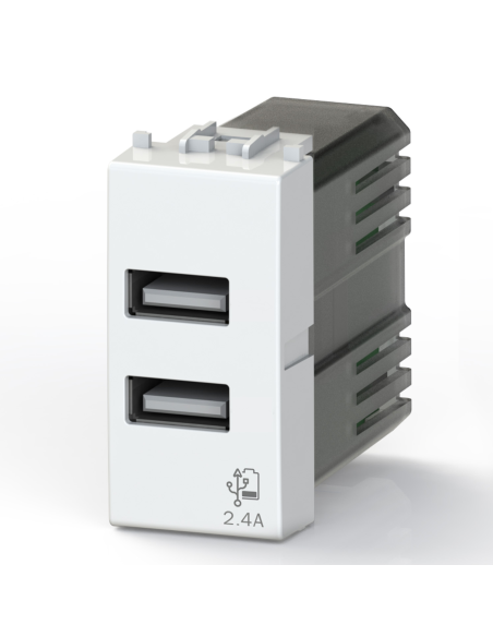 Módulo USB 2.0 de doble toma tipo A, 5Vdc 2,4A, serie U, blanco, compatible con Vimar Plana - 4Box USB 2.4 4 4B.V14.USB.24