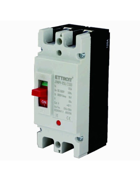 Interruptor automático en miniatura, 2P, 500Vac, 125A, 10KA - Ettroit JX15298