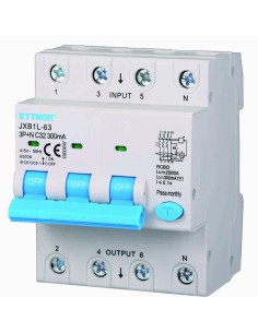 Residual current circuit...