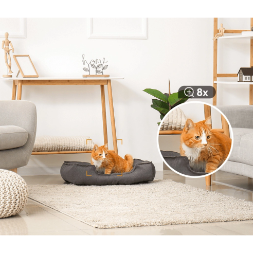 REX 3D 2K IP WiFi PTZ-camera, binnen,...