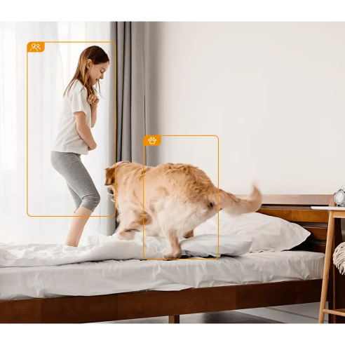 REX 3D 2K IP WiFi PTZ-camera, binnen,...