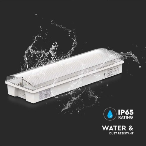LED emergency lamp, 3W 130lm, wall...
