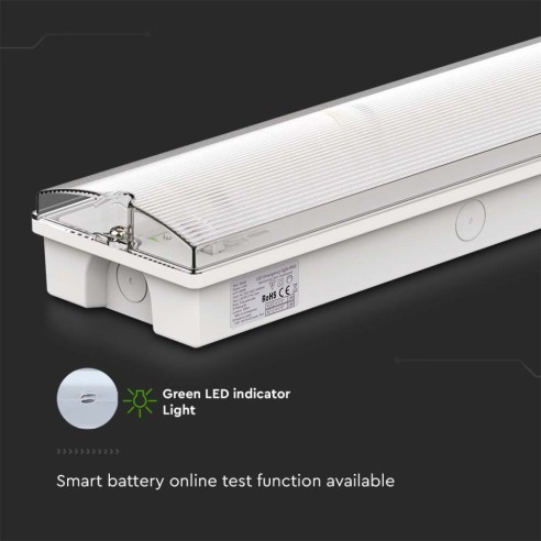 LED-Notleuchte, 3W 130lm,...