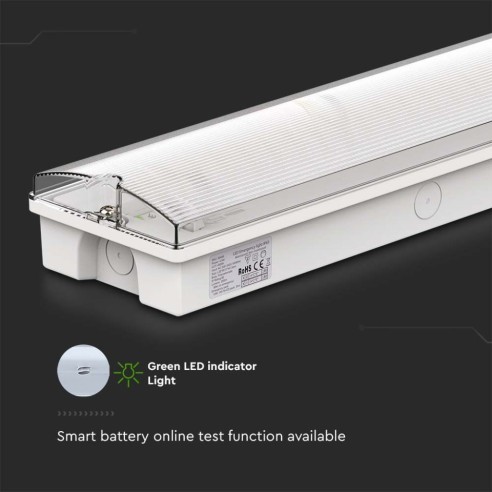LED-Notleuchte, 3W 120lm,...