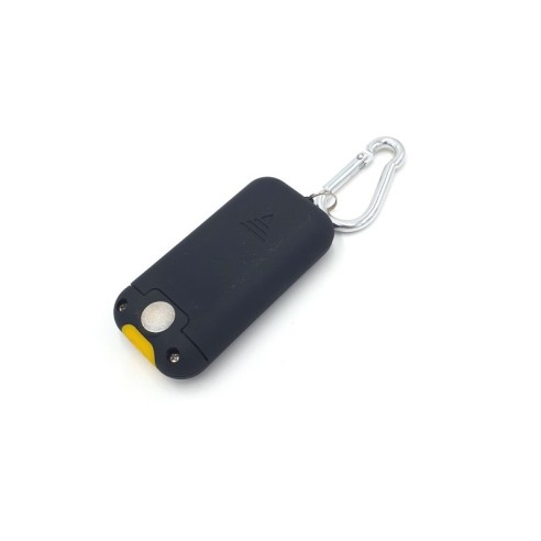 Keychain with COB LED panel and...