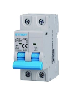 Thermal-magnetic circuit...