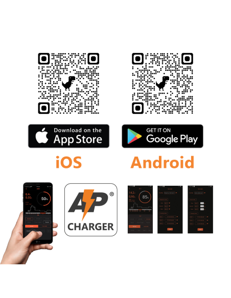 Caricabatterie automatico, LiFePO4 12.8V 10~80Ah, piombo 12V/24V 4~240Ah, mantenimento, gestione tramite App - Alcapower SX-2