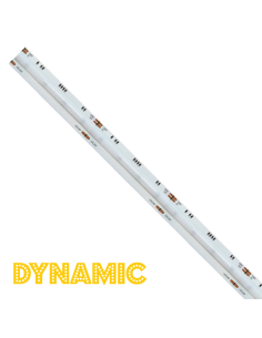 Bande LED COB Dynamic, avec...