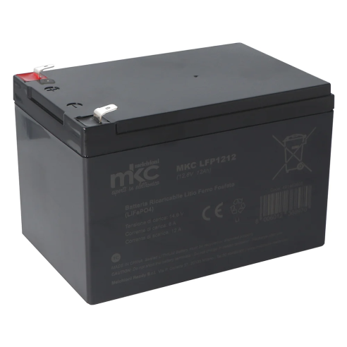 Batteria LiFePO4, 12V, 12Ah, BMS...