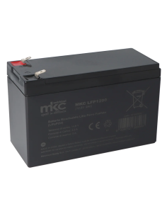 Batteria LiFePO4, 12.8V,...