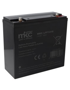 Batteria LiFePO4, 12V,...