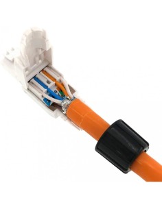 RJ45 Cat.6A UTP Stecker,... 2